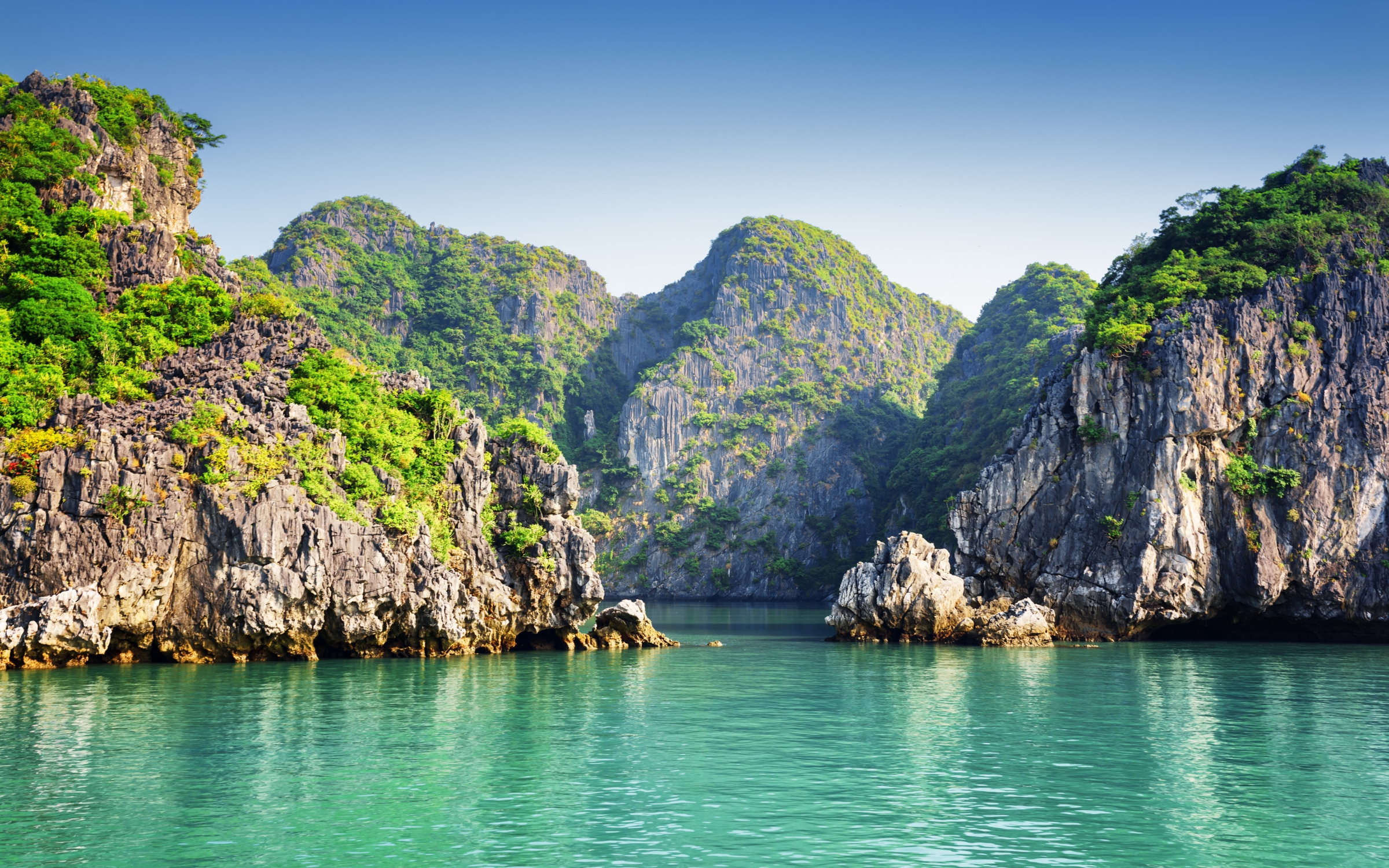 Vịnh Hạ Long